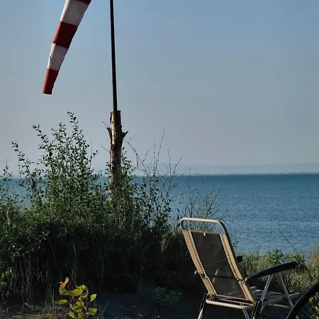 Limetta Caravan Chernomorets