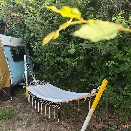Limette Caravan Tjernomorets